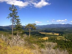 landscape of the wilderness, oregon, united states