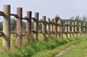 Landscape with the fence near the lane