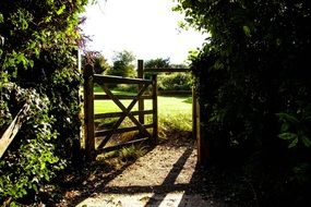 rural wooden gate to pasture