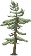 Graphics in the form of green spruce