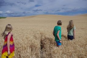 three teenagers in a wheat field