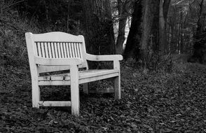 vintage wooden bench in park, Black and white