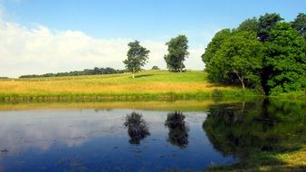 beautiful and delightful farm pond