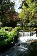 andscape with a waterfall on the background of scenic nature