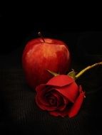 painted apple and red rose on black background