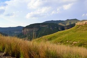 nature in the national park of the golden gate in africa