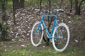 blue bike parks in the park