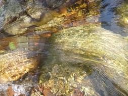 water in natural conditions