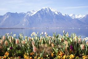Nature in Switzerland