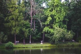 people walk park
