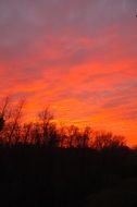 Red sunset sky behind the trees