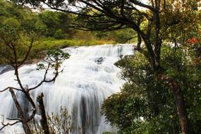 Waterfall in wilderness nature