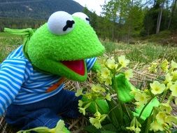 toy frog kermit in nature