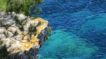 sea mediterranean water coast pine