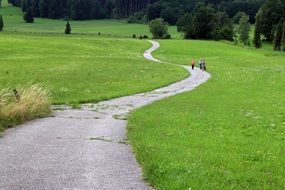 People are doing hiking near the forest