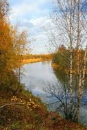 Landscape of nature in Russia