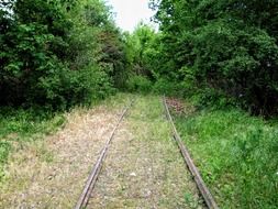 abandoned railway in the green forest