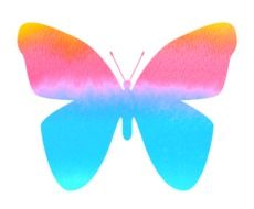 colorful drawing of a butterfly with wings on a white background