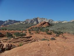 scenic desert landscape on the background of the rocky nature of the Snow Canyon, Utah