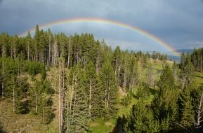 rainbow over yellowstone forest