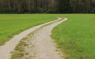 green landscape with a nature trail