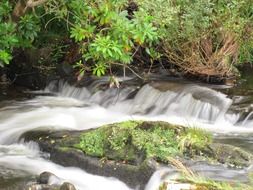 natural water flow