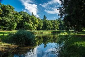 peaceful forest pond, tranquil landscape