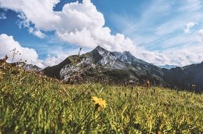 mountain meadow landscape