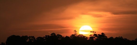Colorful sunset over the trees