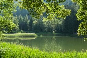 picturesque pond in austria