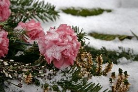 flowers in a graveyard in the snow