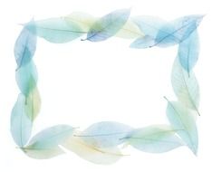 blue rectangular frame with transparent leaves, drawing