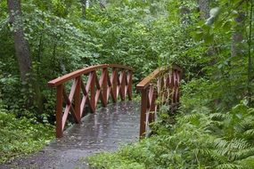 wooden red bridge in green forest