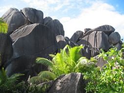 landscape of gray rock formations in Seychelles