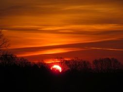 sunrise from behind the trees