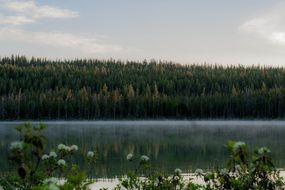 scenic lake in early morning