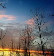 Sunset under the blue sky behind the trees