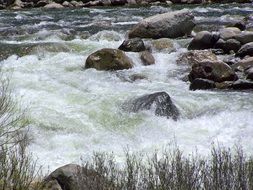 gushing river in the park