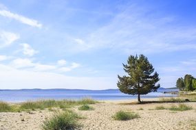 beach in norrland in summer