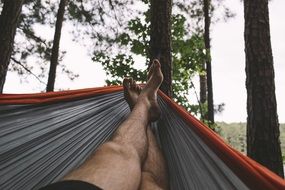 man on a hammock in a forest