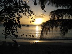 sunset on the tropical beach