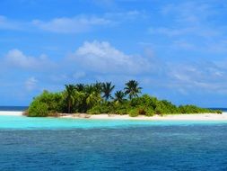 Island with beach in the water