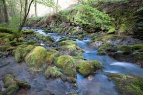 The Eifel is a low mountain range in western Germany