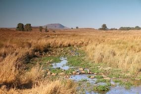 scenic wilderness, Levant, golan heights fields