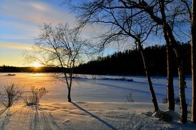 field near forest at sunset, winter landscape