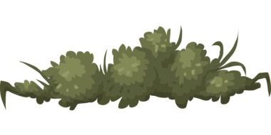 drawing of a green bush