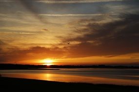 sunset over sea bird silhouette