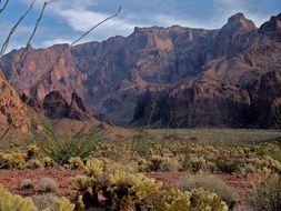 desert arizona