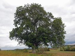 Landscape of countryside in Bavaria