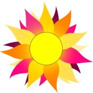 picture of a flower with colorful petals